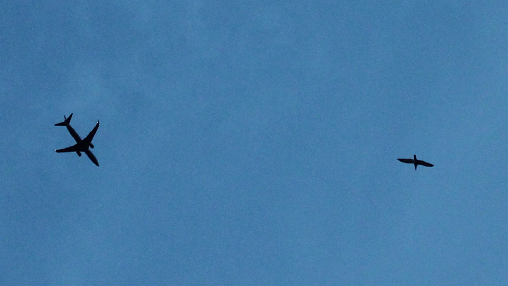 İletişim ve Tasarımı Fotoğraf Yarışması, Aslı Ataman