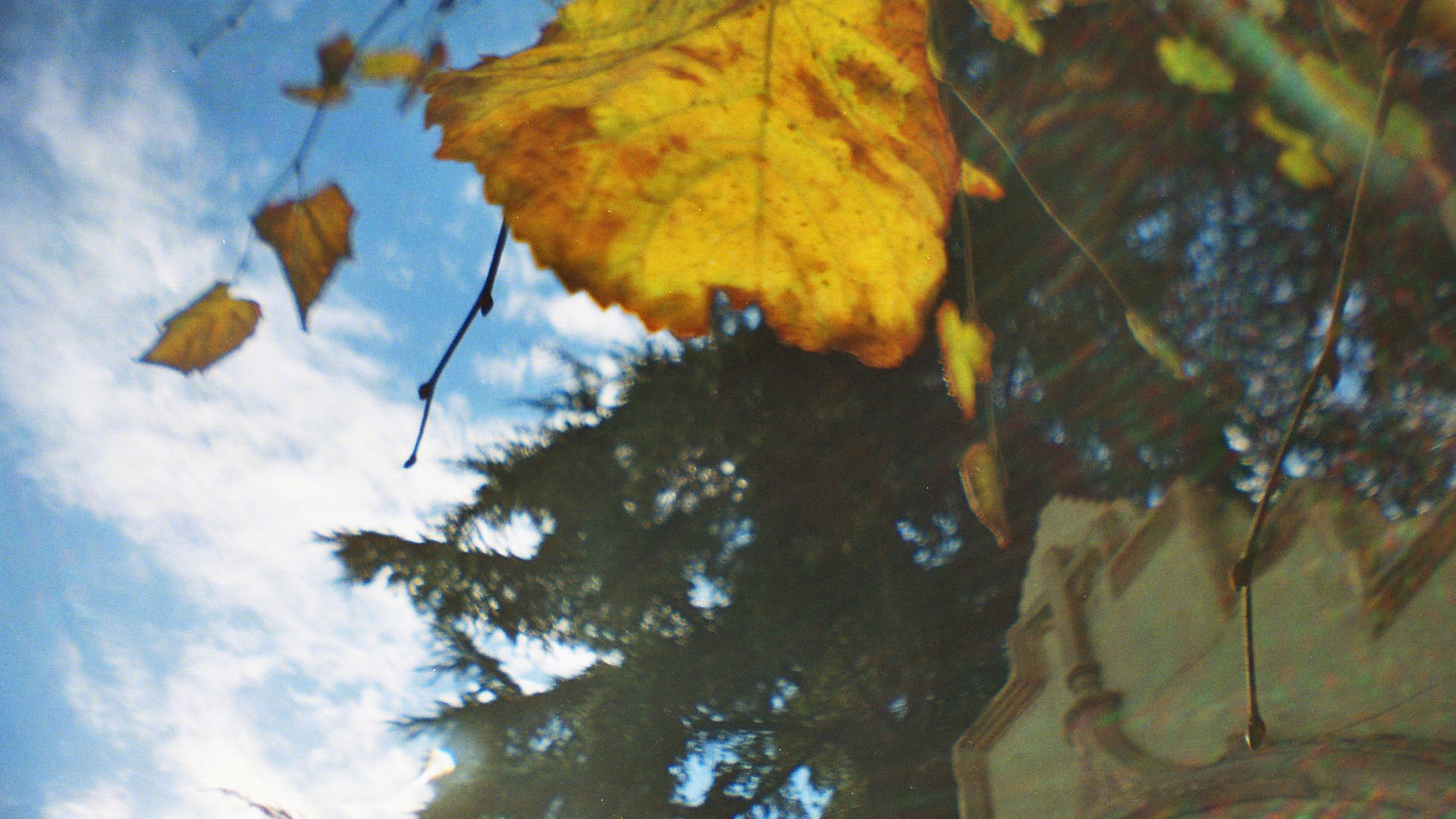 Lomography ve analog Fotoğrafçılık - Boris Nikoloski
