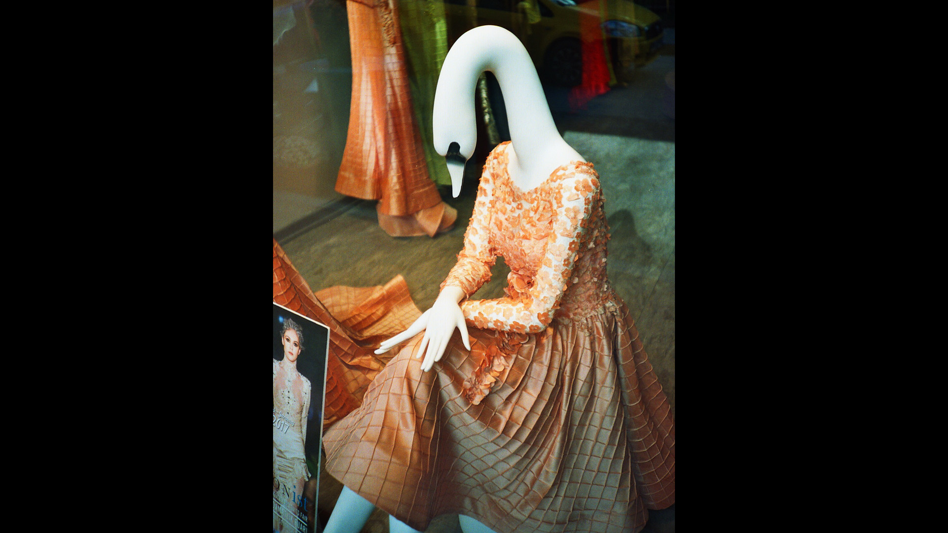 Lomography ve analog Fotoğrafçılık - Zeynep Dursun
