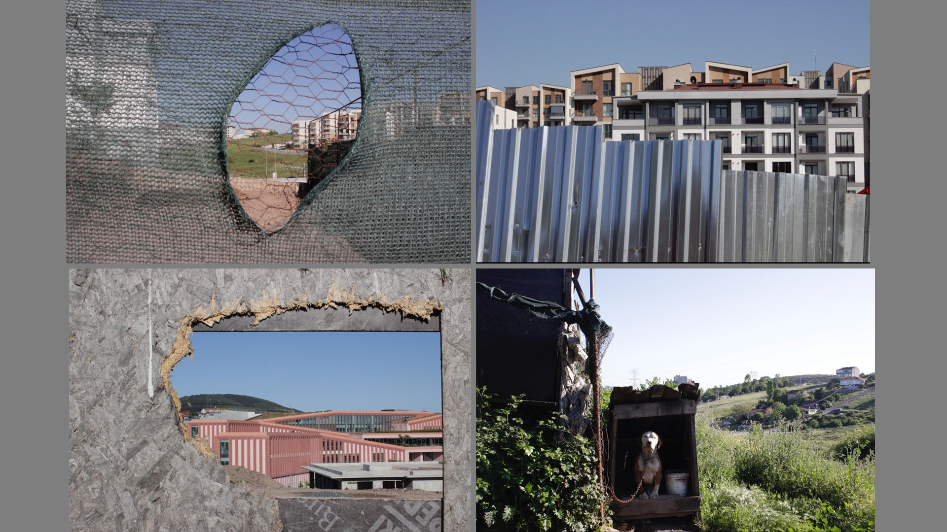 Nisa Nur Çakmakçı