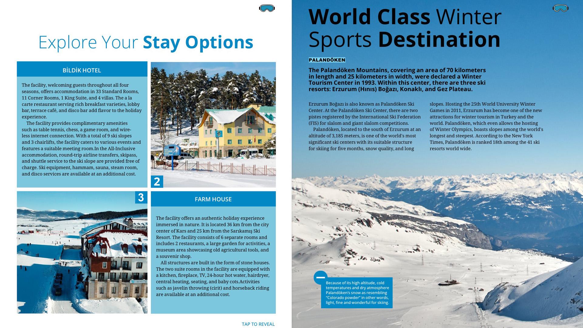 Melis Gür, Snowseekers, Özyeğin Üniversitesi İletişim ve Tasarımı Bölümü