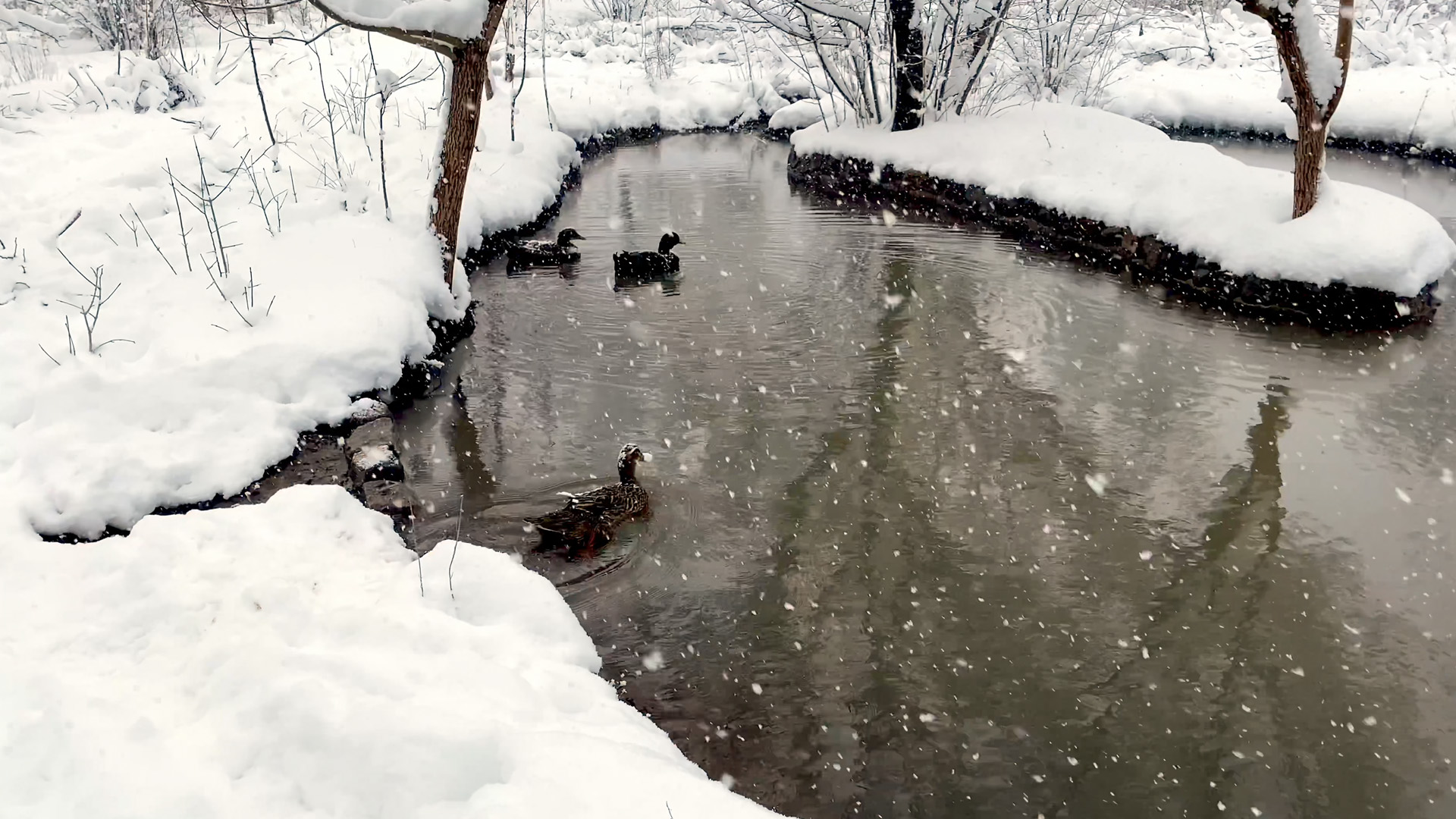 Rebuilding Palanga, Metin Çavuş